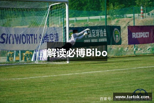 解读必博Bibo